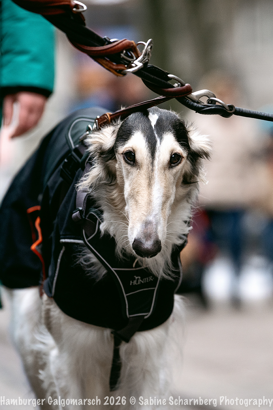 _Sabine Scharnberg Photography_BIN8778-Bearbeitet_Web