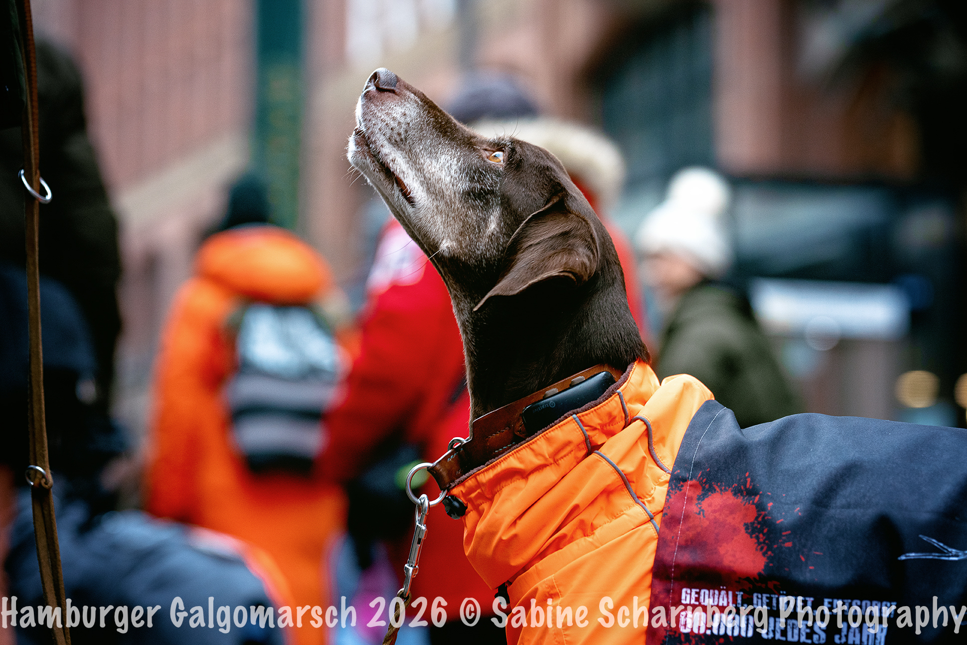 _Sabine Scharnberg Photography_BIN8784-Bearbeitet_Web