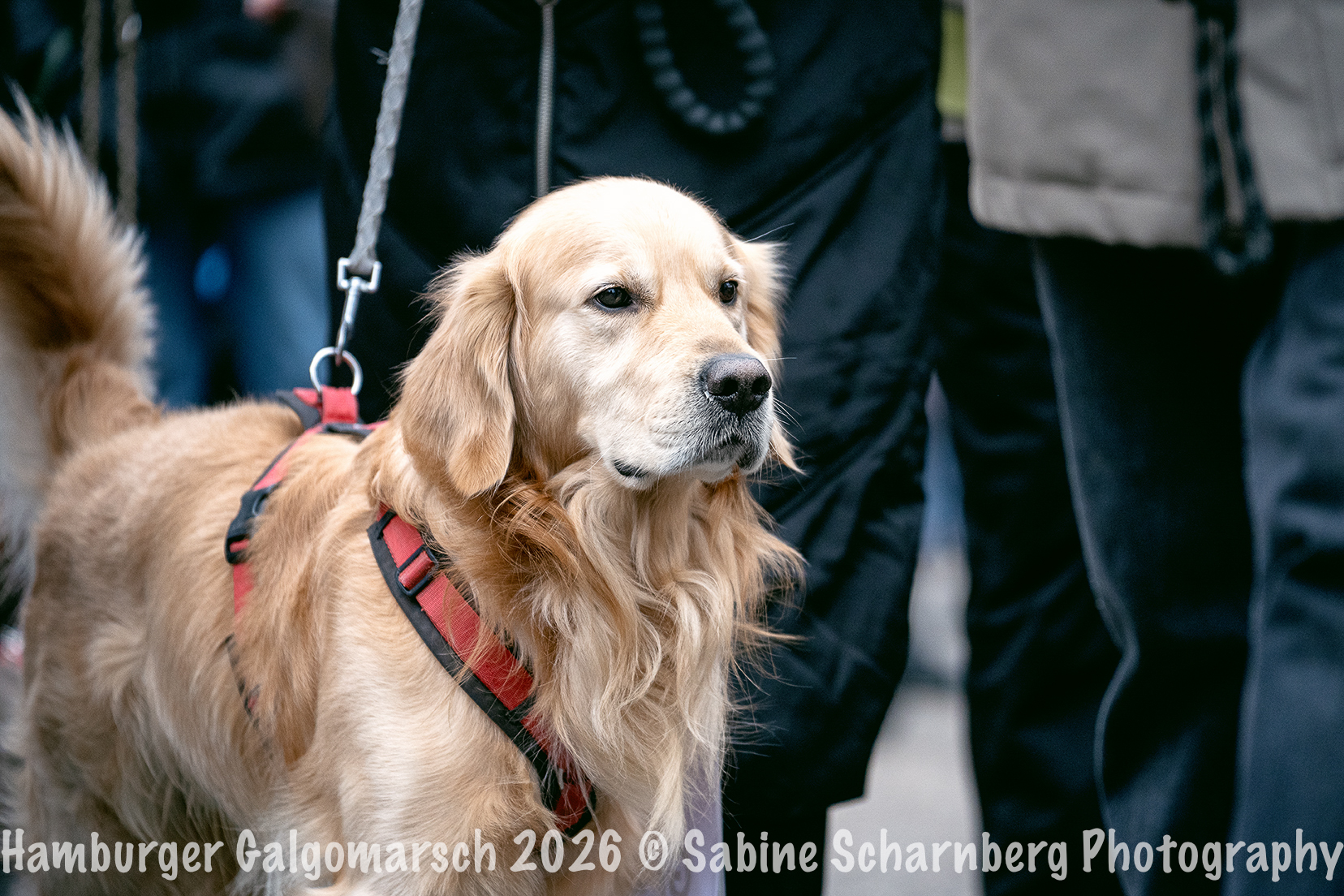 _Sabine Scharnberg Photography_BIN8802-Bearbeitet_Web