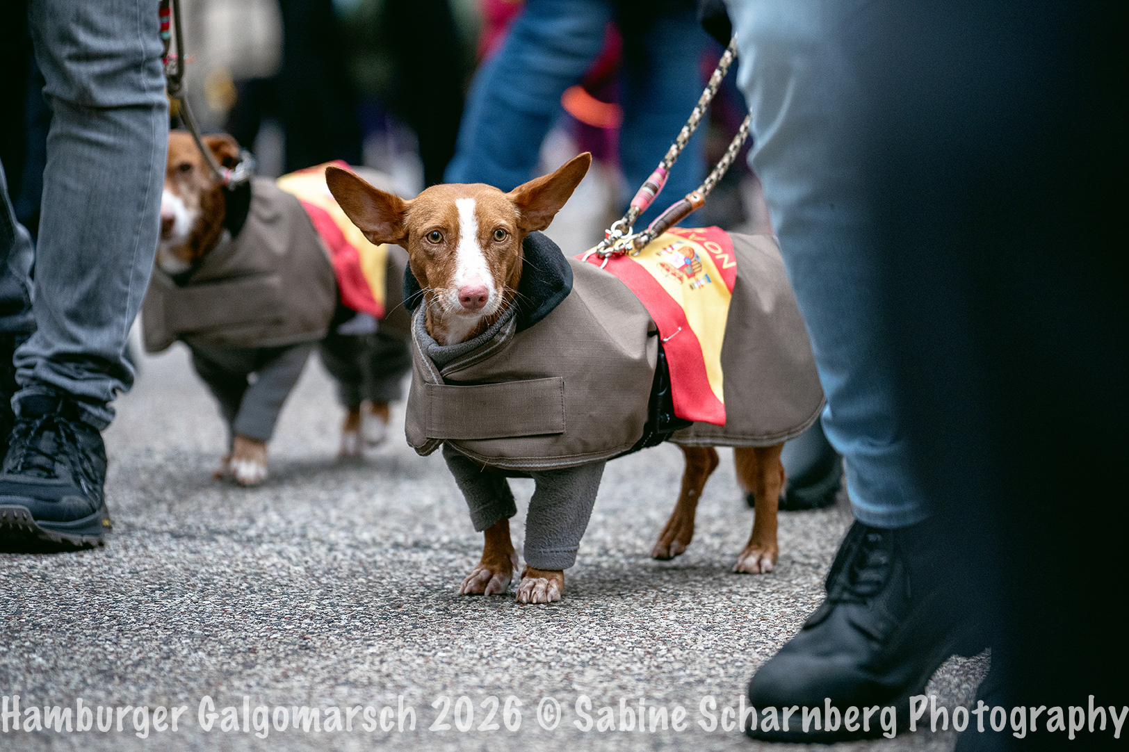 _Sabine Scharnberg Photography_BIN8804-Bearbeitet_Web