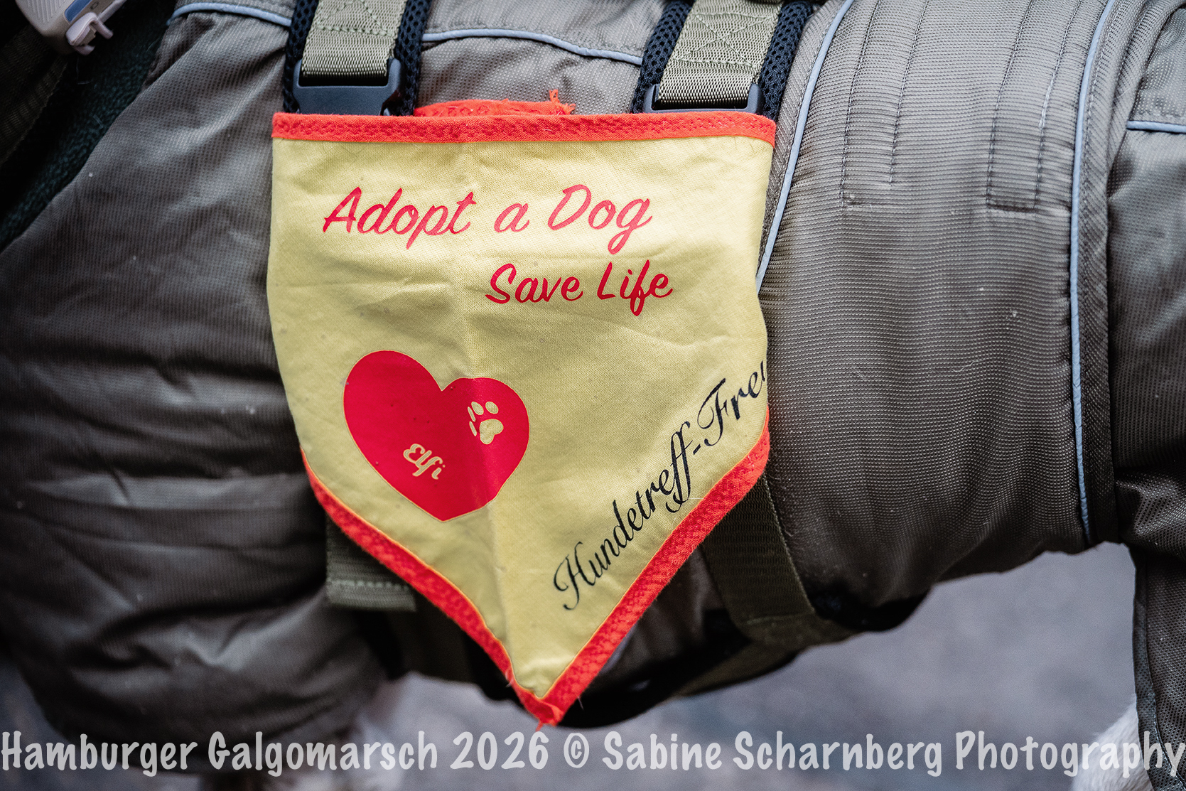 _Sabine Scharnberg Photography_BIN8809-Bearbeitet_Web