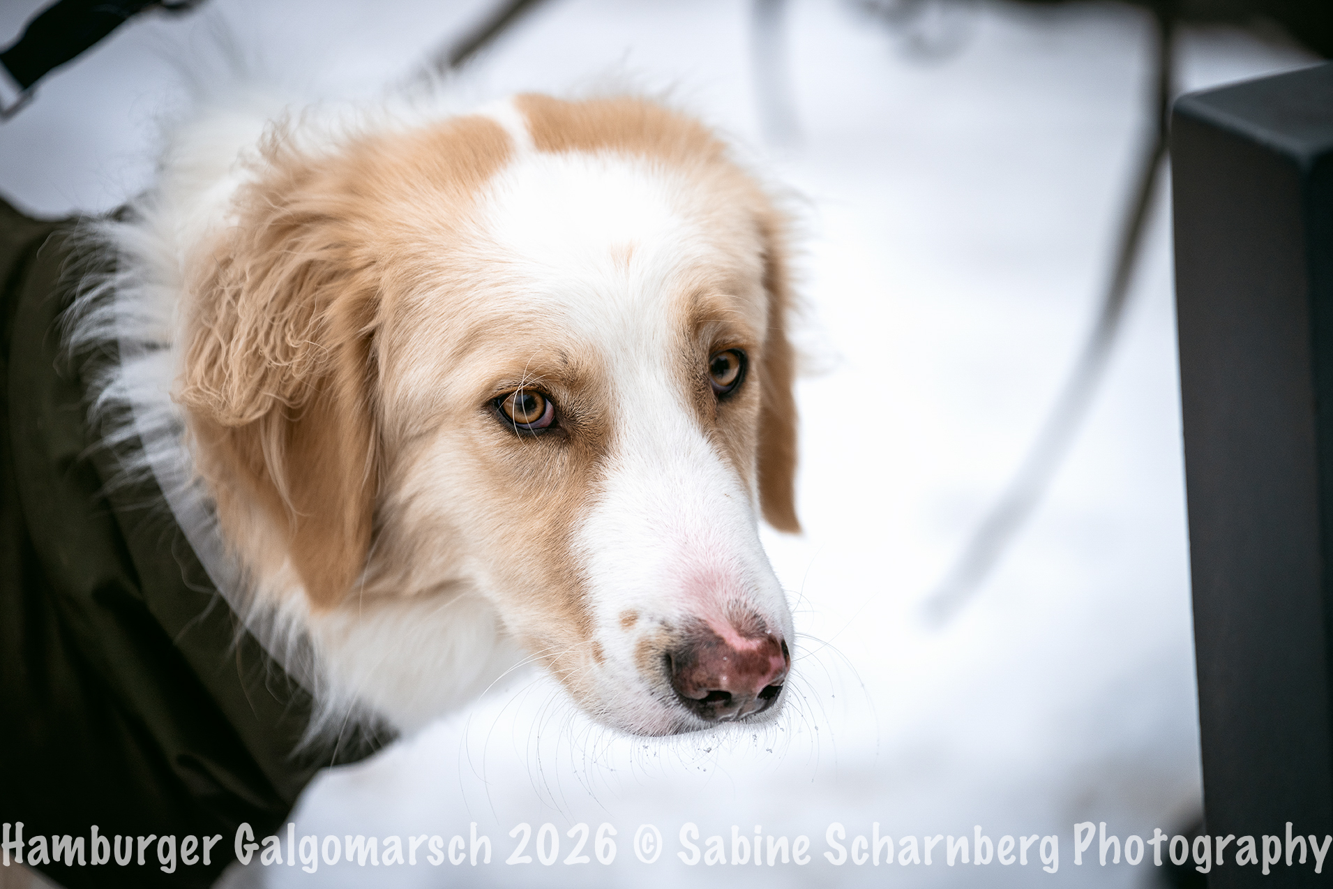 _Sabine Scharnberg Photography_BIN8879-Bearbeitet_Web