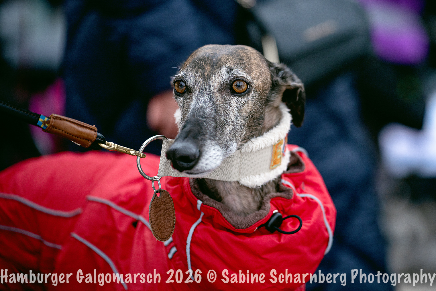 _Sabine Scharnberg Photography_BIN8883-Bearbeitet_Web