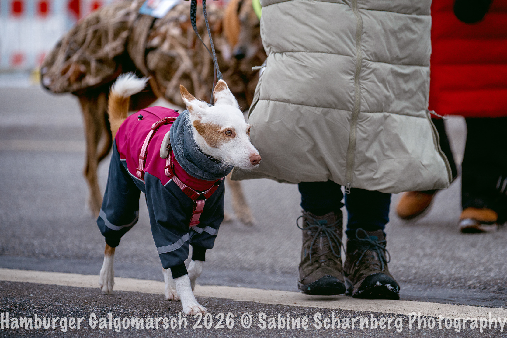 _Sabine Scharnberg Photography_BIN8893-Bearbeitet_Web