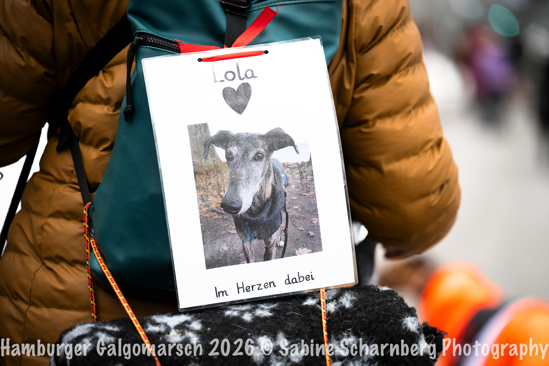 _Sabine Scharnberg Photography_BIN8908-Bearbeitet_Web