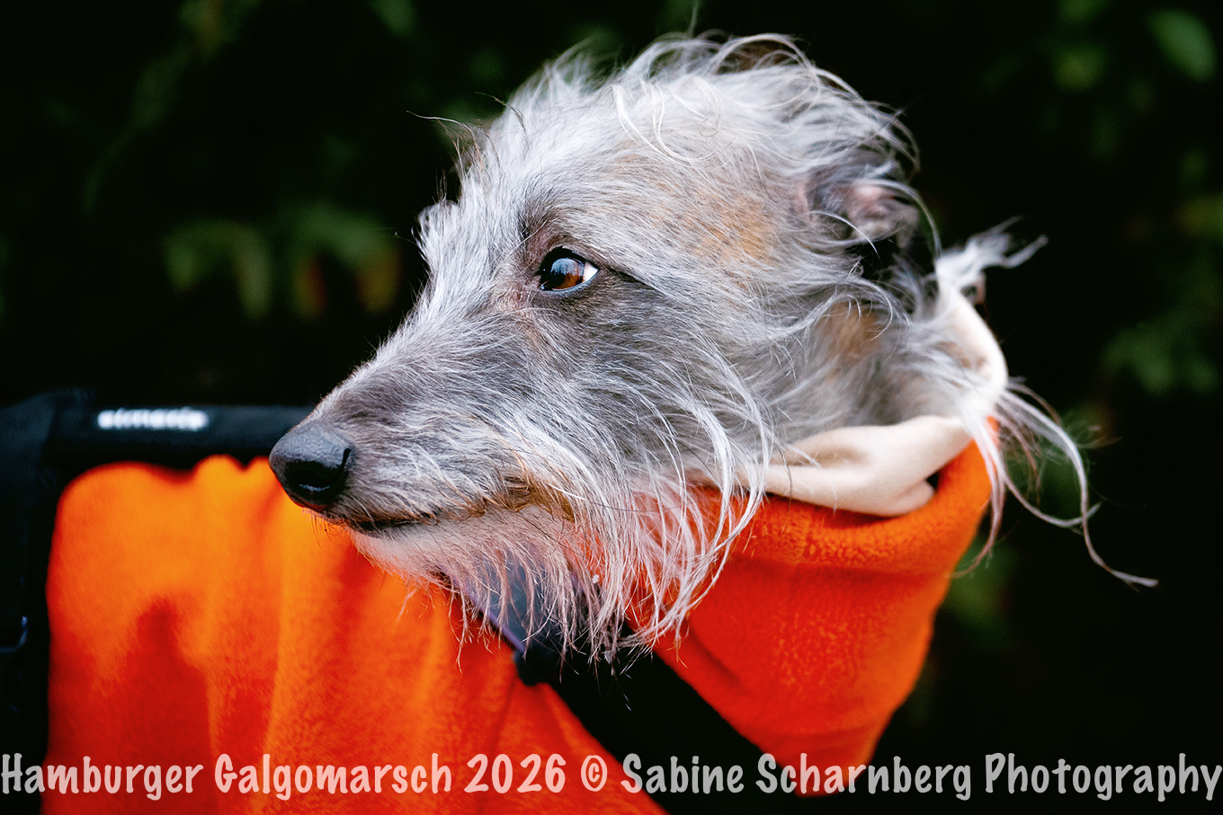 _Sabine Scharnberg Photography_BIN8916-Bearbeitet_Web