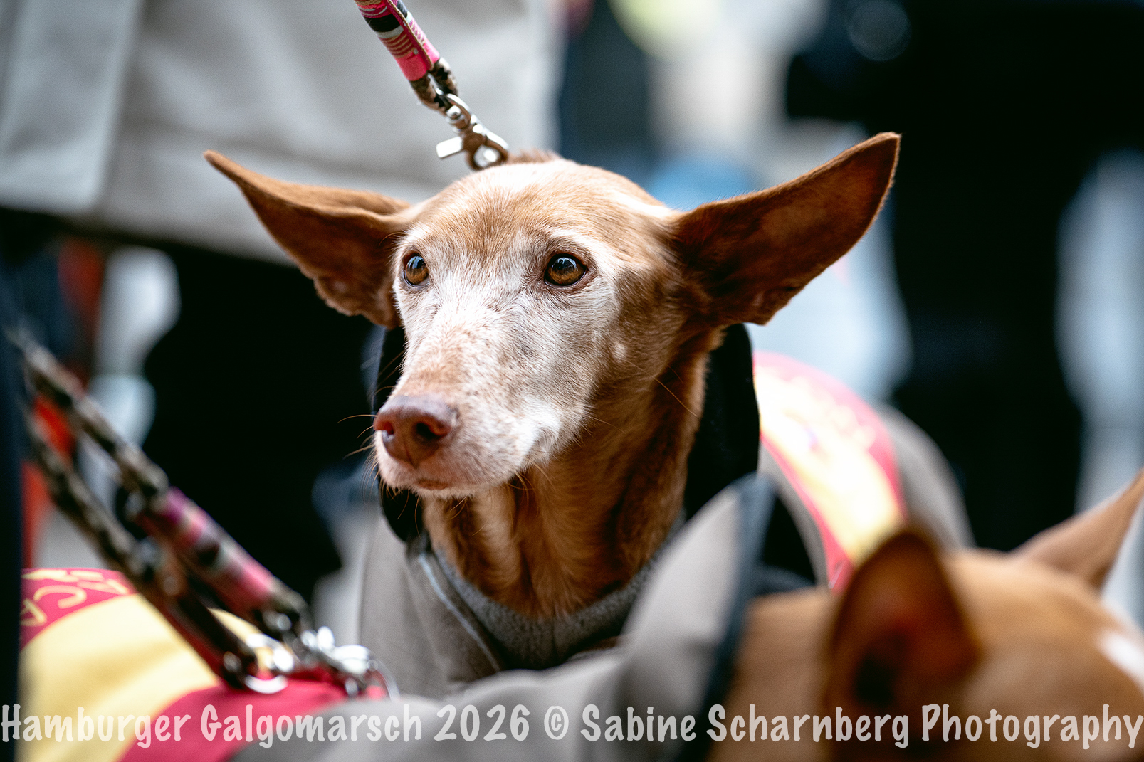 _Sabine Scharnberg Photography_BIN9034-Bearbeitet_Web