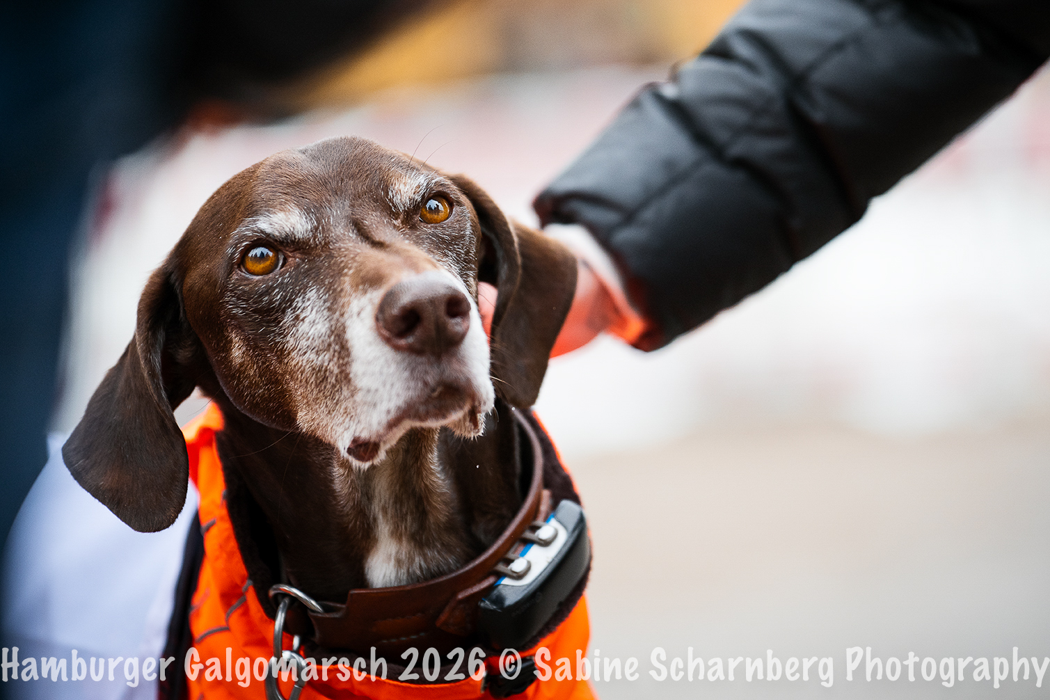 _Sabine Scharnberg Photography_BIN9069-Bearbeitet_Web