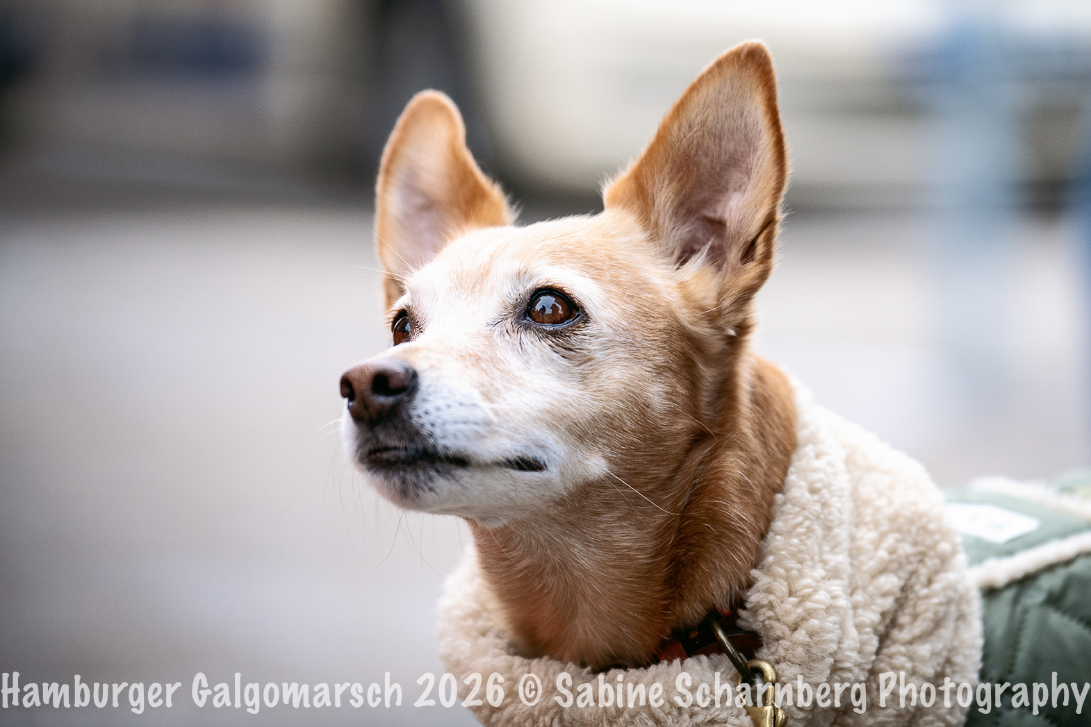 _Sabine Scharnberg Photography_BIN9076-Bearbeitet_Web