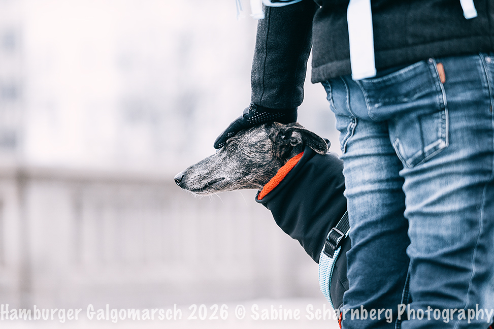 _Sabine Scharnberg Photography_Z502987-Bearbeitet_Web