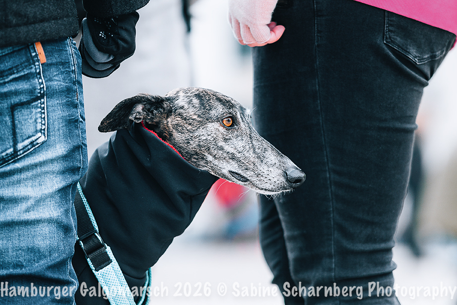 _Sabine Scharnberg Photography_Z502990-Bearbeitet_Web