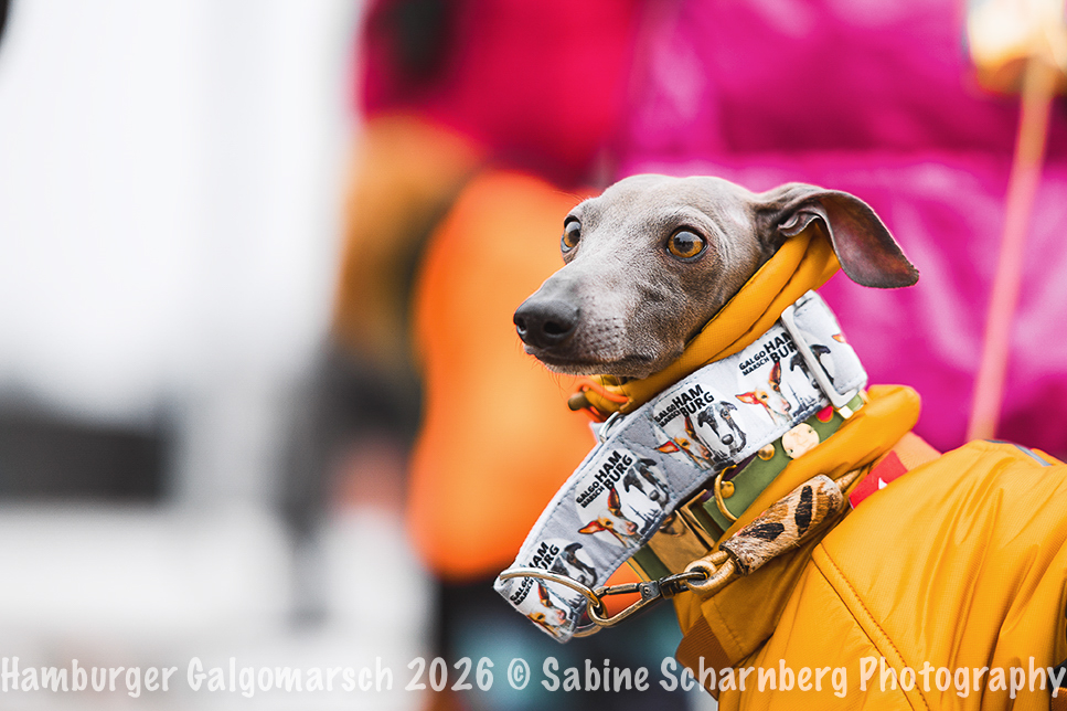 _Sabine Scharnberg Photography_Z503009-Bearbeitet_Web