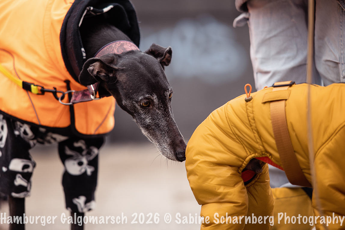 _Sabine Scharnberg Photography_Z503016-Bearbeitet_Web