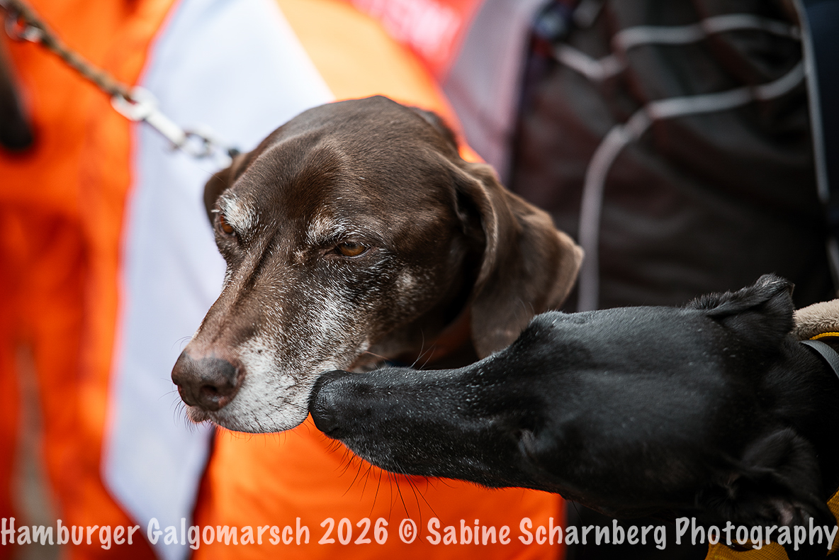 _Sabine Scharnberg Photography_Z503027-Bearbeitet_Web