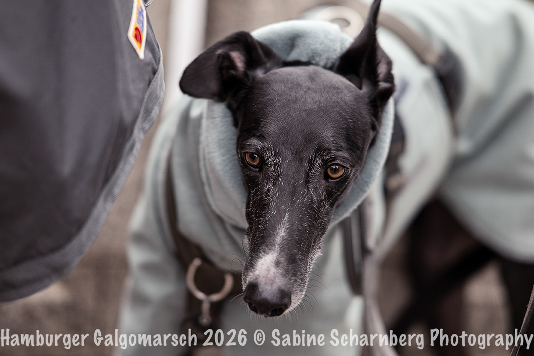 _Sabine Scharnberg Photography_Z503051-Bearbeitet_Web