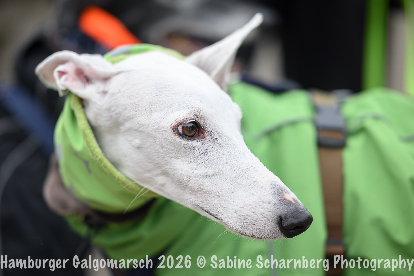 _Sabine Scharnberg Photography_Z503058-Bearbeitet_Web