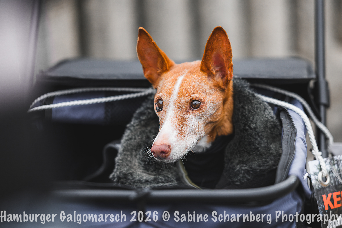_Sabine Scharnberg Photography_Z503074-Bearbeitet_Web