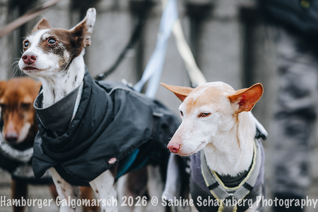 _Sabine Scharnberg Photography_Z503082-Bearbeitet_Web