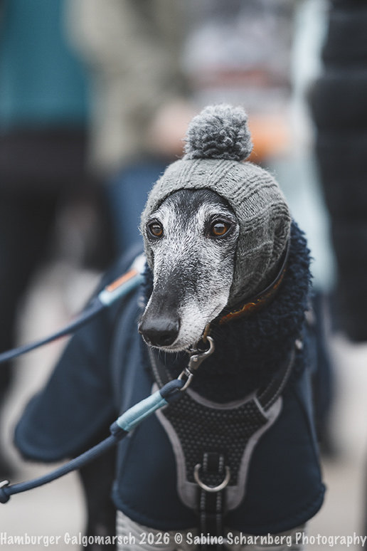 _Sabine Scharnberg Photography_Z503092-Bearbeitet_Web