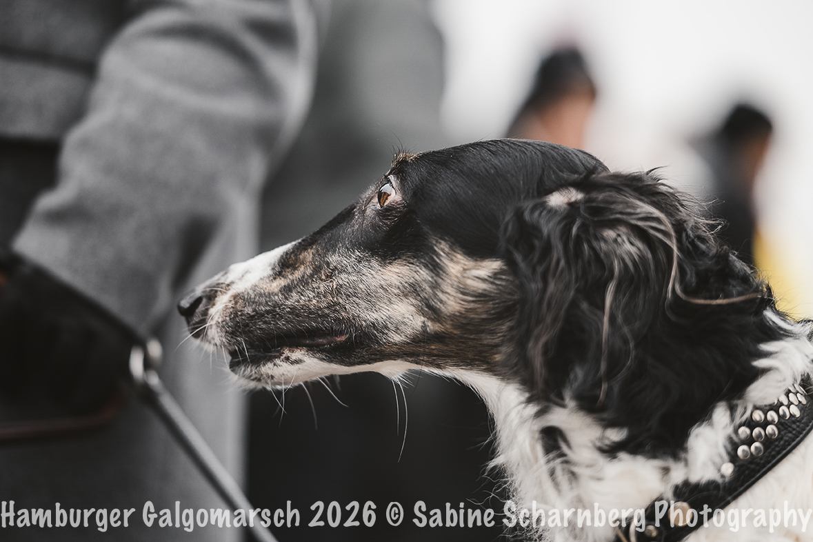 _Sabine Scharnberg Photography_Z503095-Bearbeitet_Web