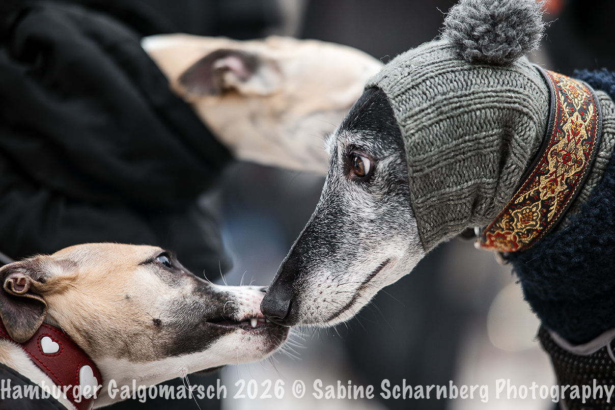 _Sabine Scharnberg Photography_Z503105-Bearbeitet_Web