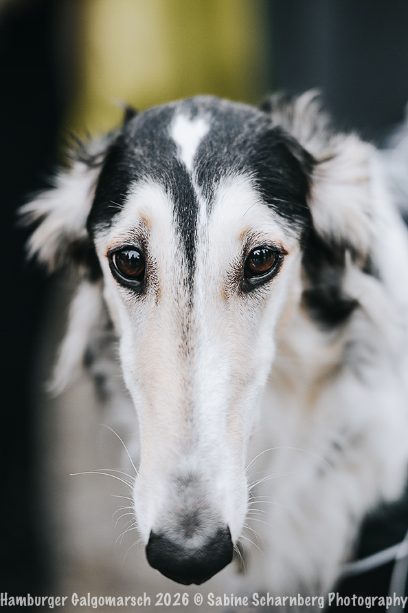 _Sabine Scharnberg Photography_Z503109-Bearbeitet_Web