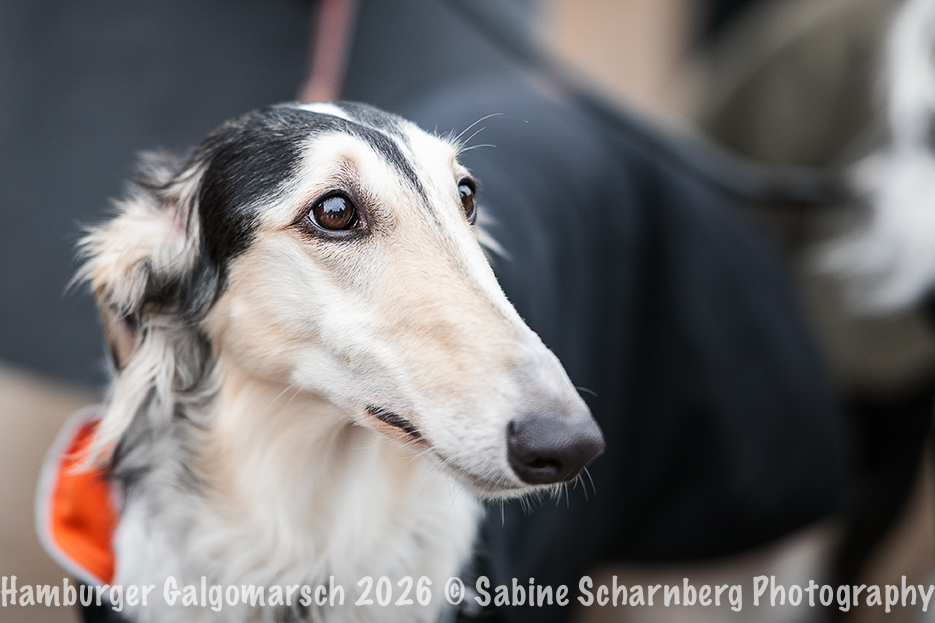 _Sabine Scharnberg Photography_Z503111-Bearbeitet_Web