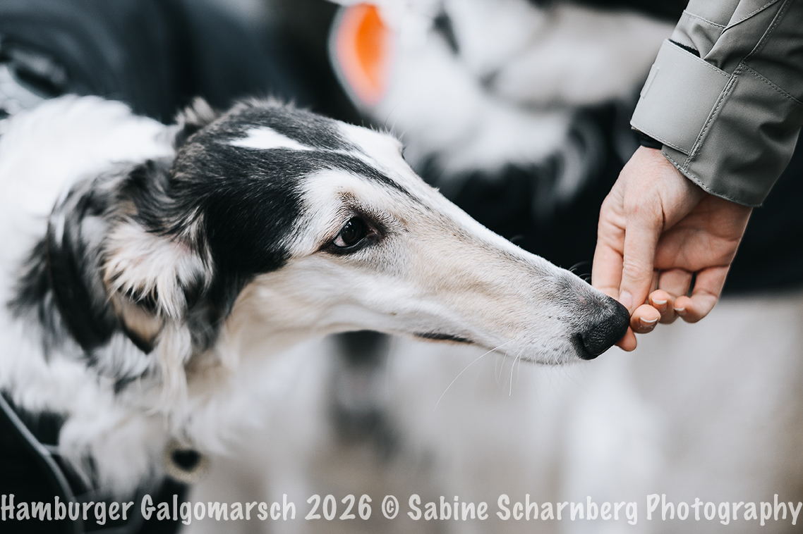 _Sabine Scharnberg Photography_Z503115-Bearbeitet_Web