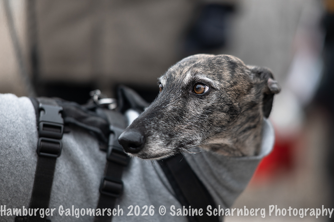 _Sabine Scharnberg Photography_Z503131-Bearbeitet_Web