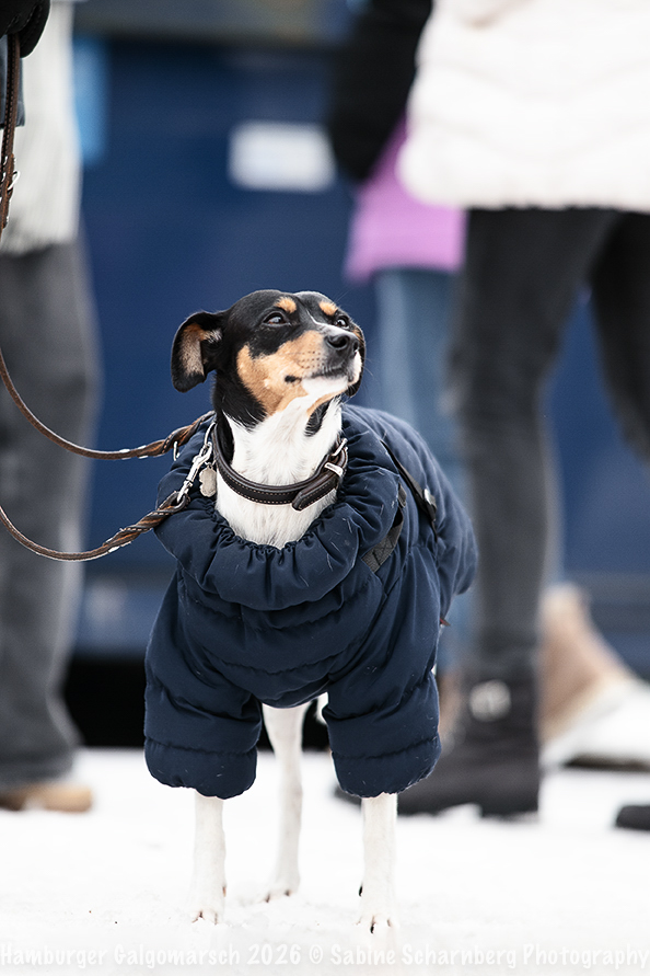 _Sabine Scharnberg Photography_Z503138-Bearbeitet_Web