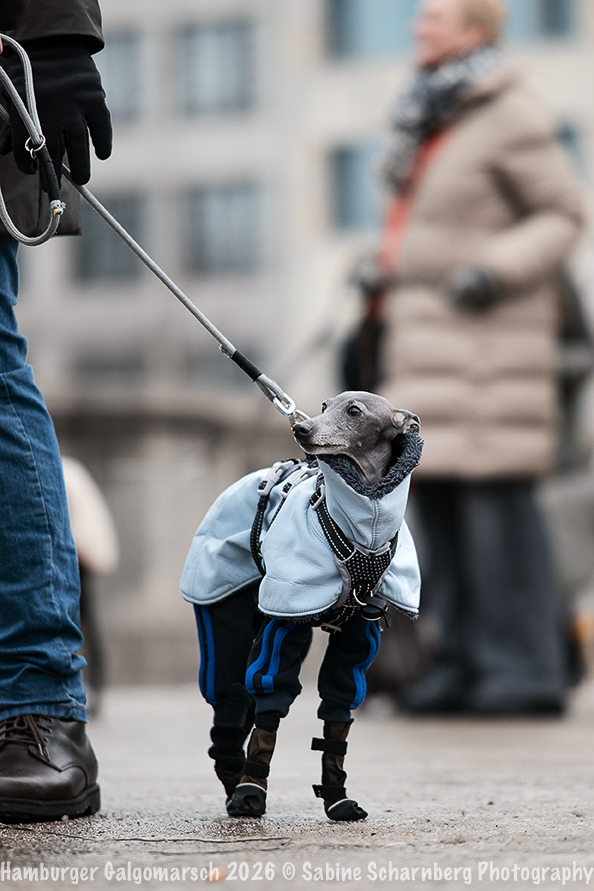 _Sabine Scharnberg Photography_Z503163-Bearbeitet_Web