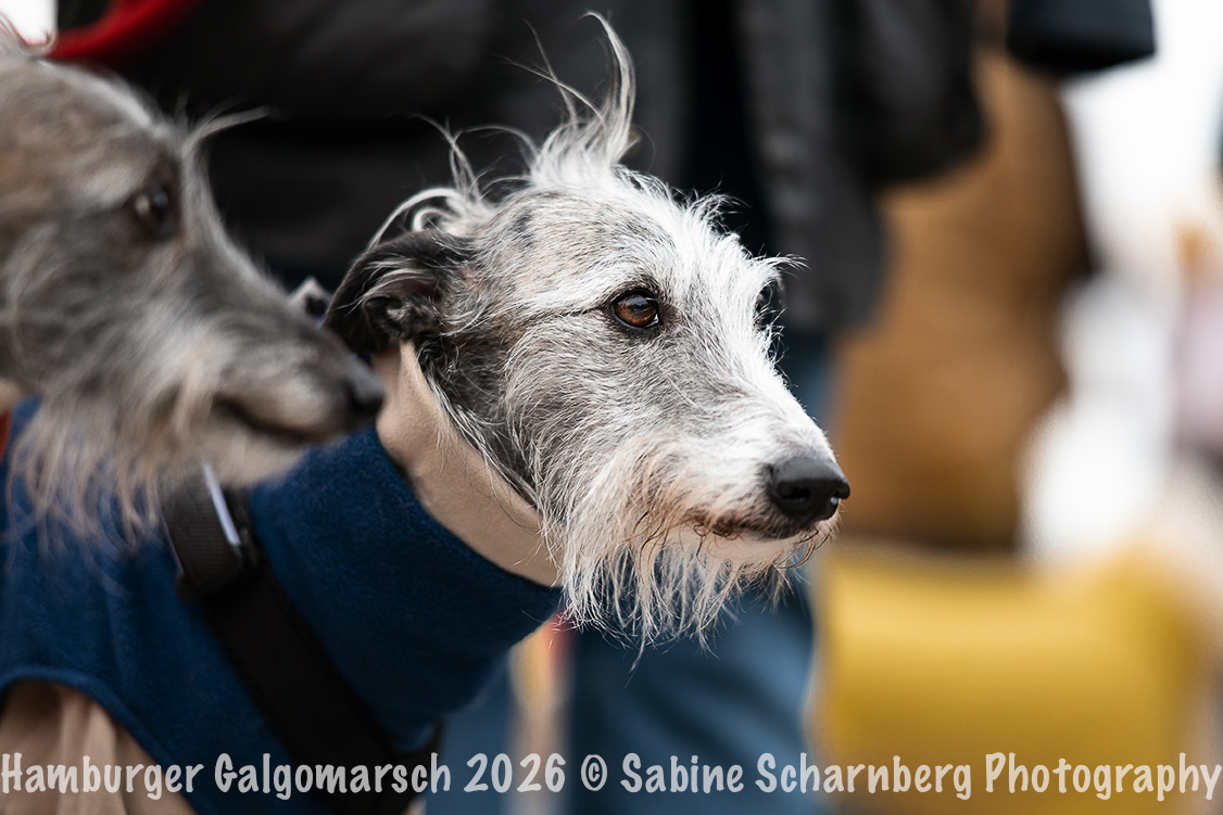_Sabine Scharnberg Photography_Z503170-Bearbeitet_Web
