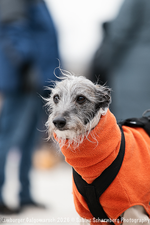 _Sabine Scharnberg Photography_Z503177-Bearbeitet_Web