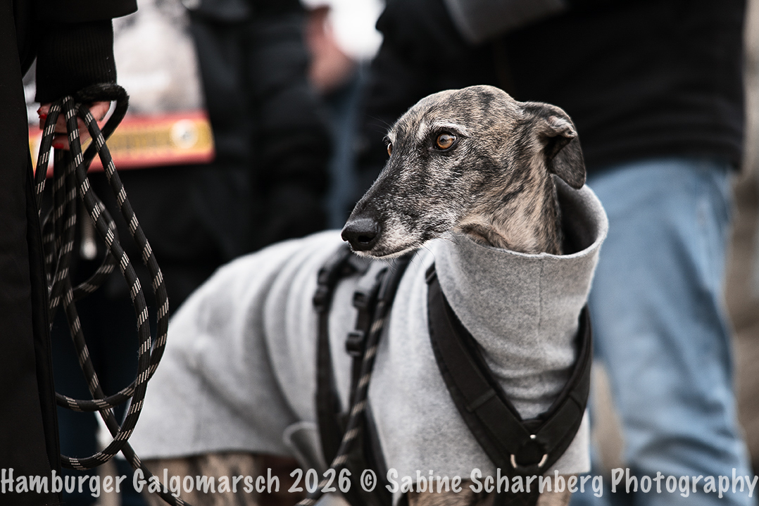 _Sabine Scharnberg Photography_Z503198-Bearbeitet_Web