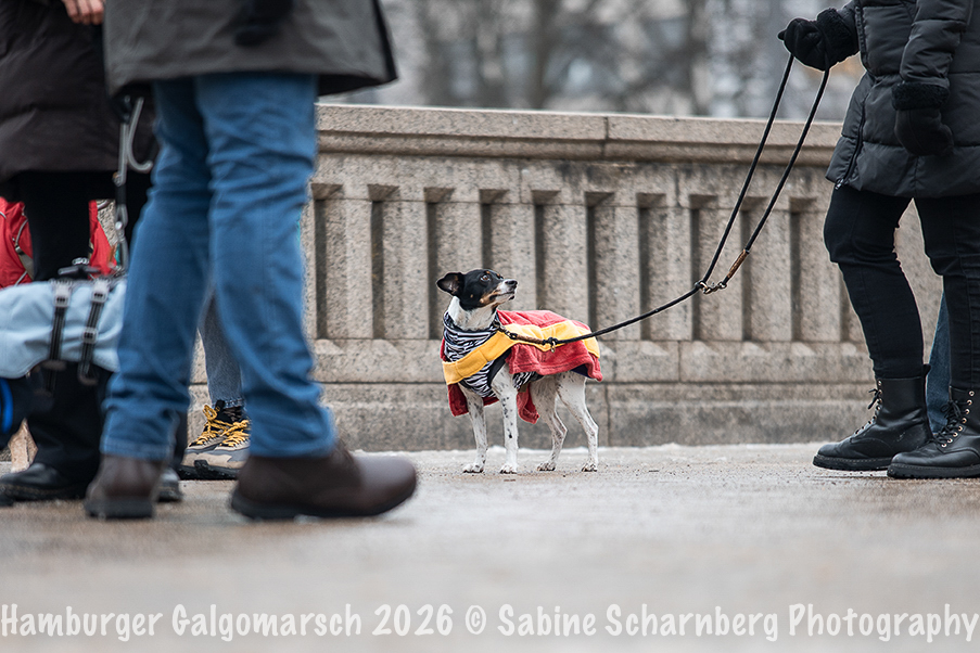 _Sabine Scharnberg Photography_Z503201-Bearbeitet_Web