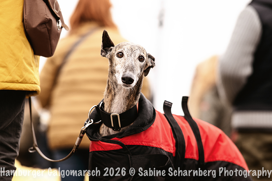 _Sabine Scharnberg Photography_Z503213-Bearbeitet_Web