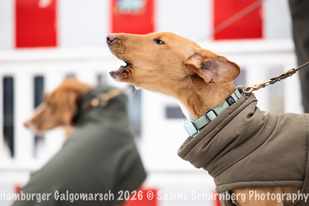 _Sabine Scharnberg Photography_Z503229-Bearbeitet_Web