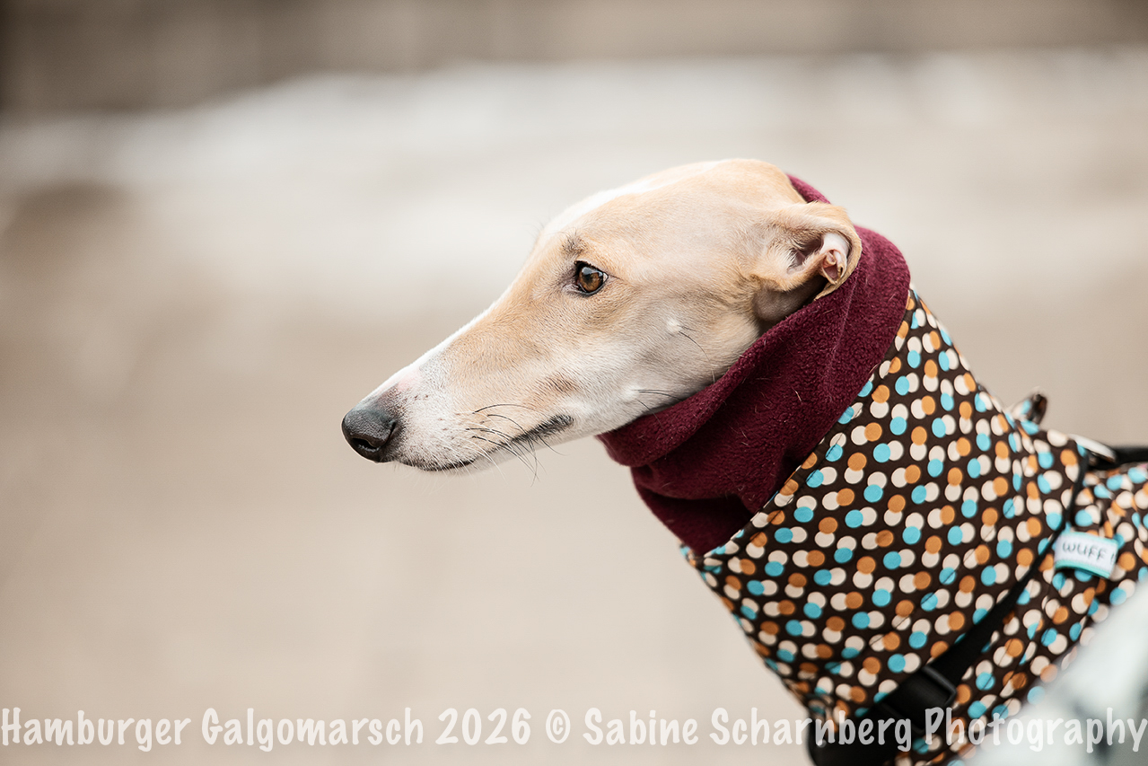 _Sabine Scharnberg Photography_Z503233-Bearbeitet_Web