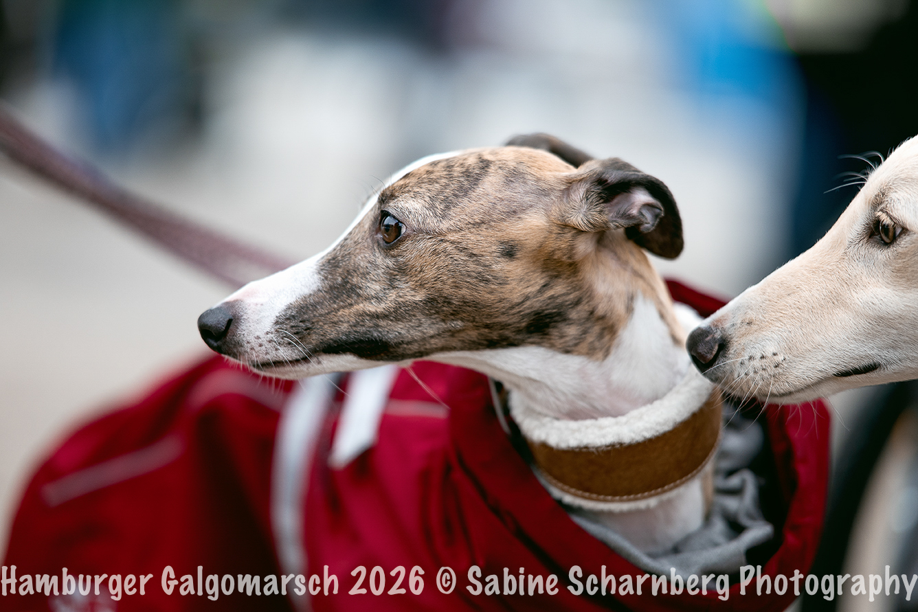 _Sabine Scharnberg Photography_Z503244-Bearbeitet_Web